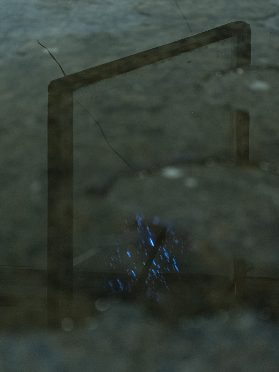 Tomáš Penc - Rain Machine, 2022