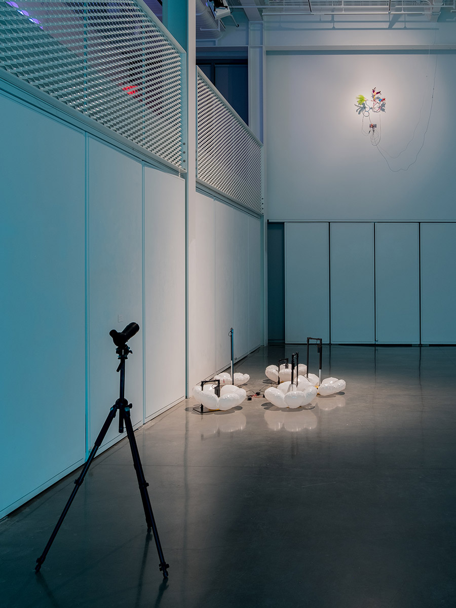 Tomáš Penc - Hedonic Cupids, 2023