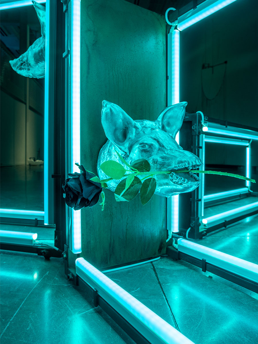 Tomáš Penc - You Brought Something Into The World That Does Not Belong Here, 2023